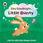 Say Goodnight, Little Bunny