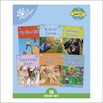 Phonic Books Dandelion World Stages 8-15 (Words with Four Sounds CVCC)