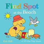 Find Spot at the Beach