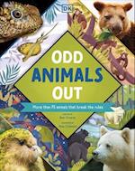 Odd Animals Out