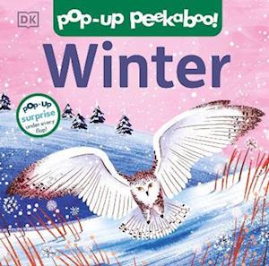 Pop-up Peekaboo! Winter