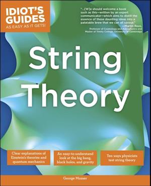 Complete Idiot's Guide to String Theory