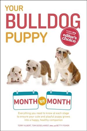 Your Bulldog Puppy Month by Month