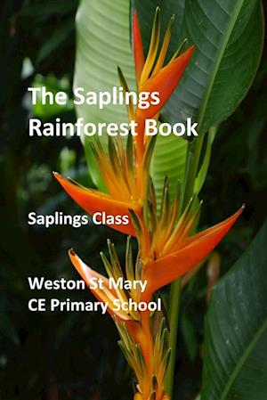 The Saplings Rainforest Book