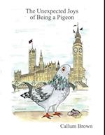 Unexpected Joys of Being a Pigeon