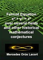 Fermat Equation Over Several Fields and Other Historical Mathematical Conjectures