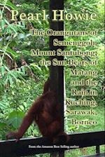 The Orangutans of Semenggoh, Mount Santubong, the Sun Bears of Matang and the Rain in Kuching, Sarawak, Borneo