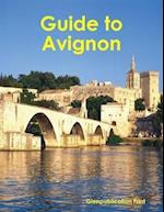 Guide to Avignon