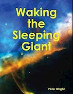 Waking the Sleeping Giant