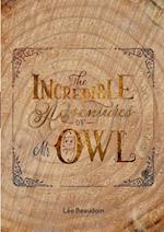 The Incredible Adventures of MR Owl