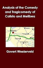 Analysis of the Comedy and Tragicomedy of Calisto and Melibea 