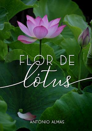 Flor de L?tus