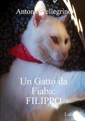 Un Gatto Da Fiaba