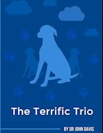 The Terrific Trio 