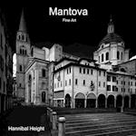 Mantova - Fine Art