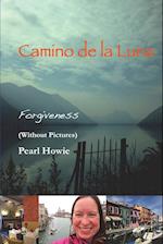 Camino de la Luna - Forgiveness (Without Pictures)
