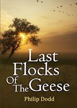 Last Flocks of the Geese