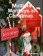 Multiple Monkeys at Christmas 