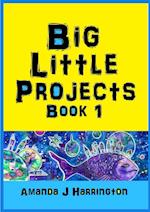 Big Little Projects Book 1