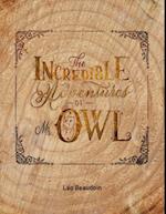 The Incredible Adventures of Mr Owl