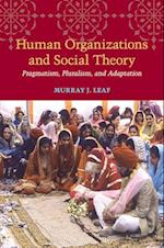 Human Organizations and Social Theory