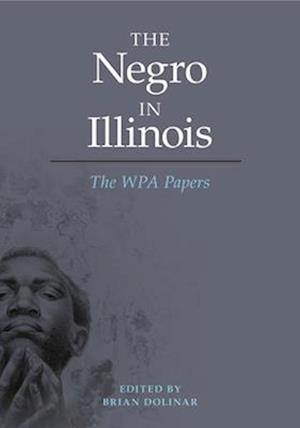 The Negro in Illinois