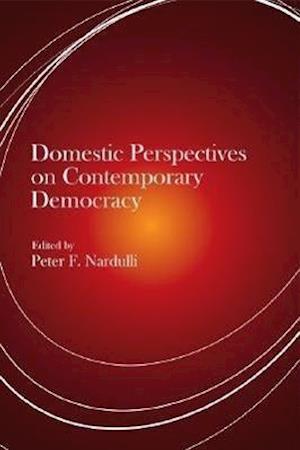 Domestic Perspectives on Contemporary Democracy