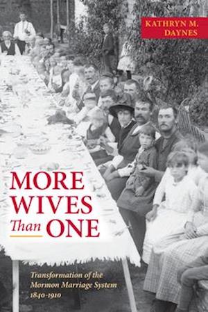 More Wives Than One