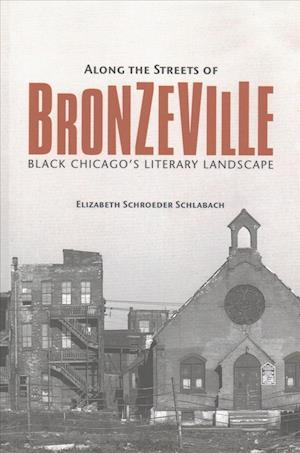 Along the Streets of Bronzeville