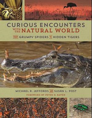 Curious Encounters with the Natural World