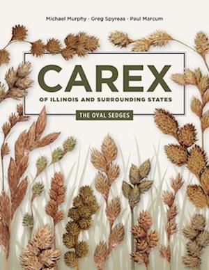 Carex of Illinois and Surrounding States