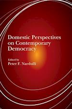 Domestic Perspectives on Contemporary Democracy