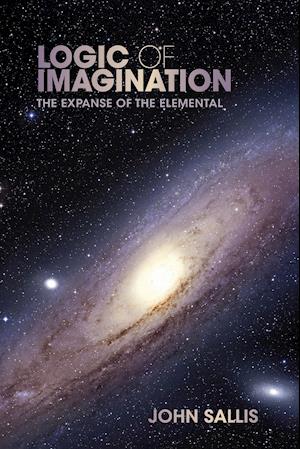 Logic of Imagination