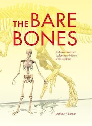 Bare Bones