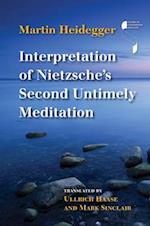 Interpretation of Nietzsche's Second Untimely Meditation