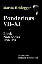 Ponderings VII-XI