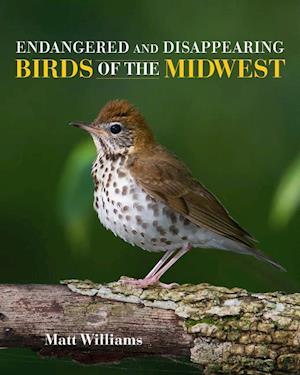 Endangered and Disappearing Birds of the Midwest