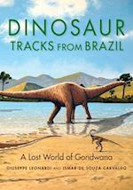 Dinosaur Tracks from Brazil