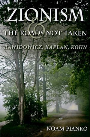 Zionism and the Roads Not Taken