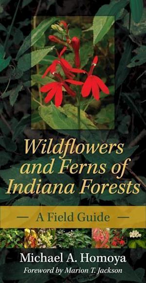 Wildflowers and Ferns of Indiana Forests