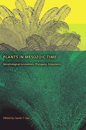 Plants in Mesozoic Time