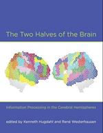 The Two Halves of the Brain