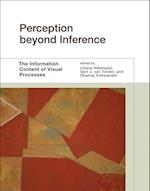 Perception beyond Inference