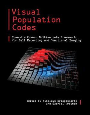 Visual Population Codes