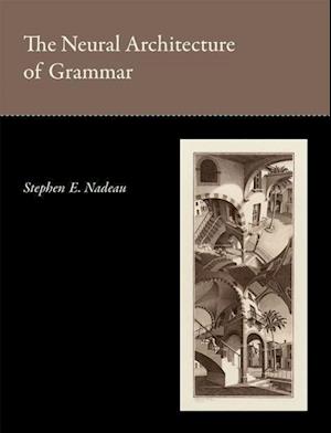 The Neural Architecture of Grammar