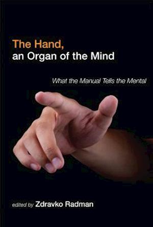 The Hand, an Organ of the Mind