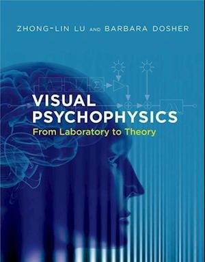 Visual Psychophysics