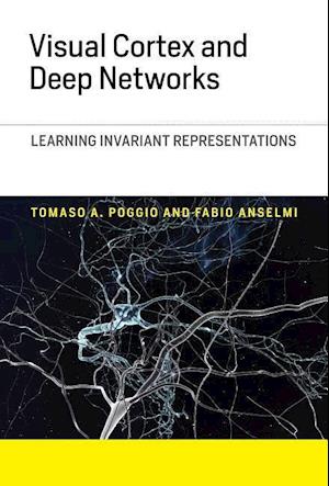 Visual Cortex and Deep Networks