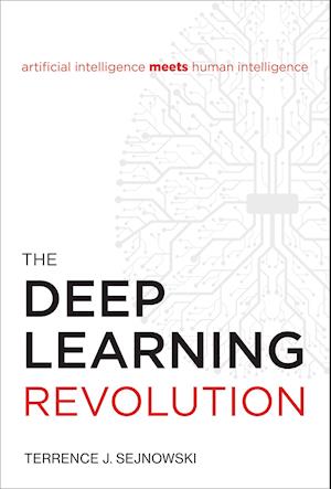 The Deep Learning Revolution