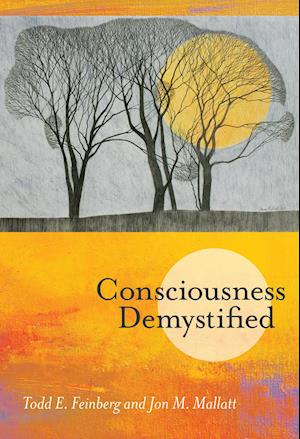 Consciousness Demystified